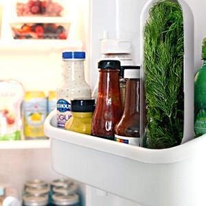Plastic Herb Saver Best Keeper for Freshest