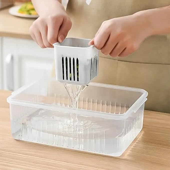 Compartment  Fridge Storage Box