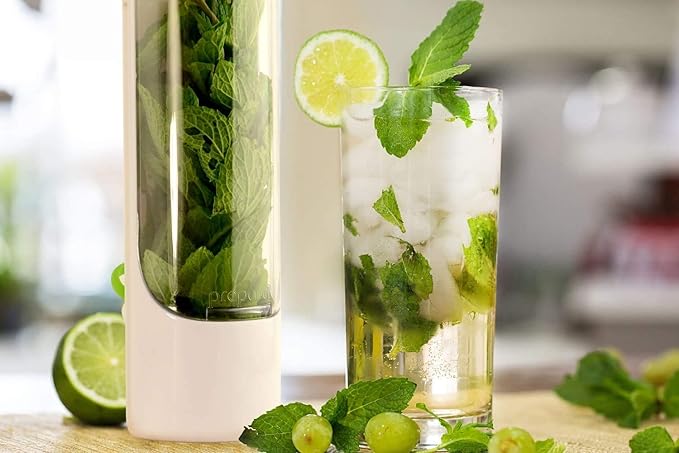 Plastic Herb Saver Best Keeper for Freshest