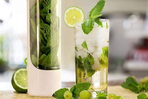 Plastic Herb Saver Best Keeper for Freshest