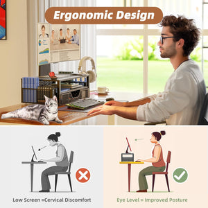 Monitor Stand Riser with Storage Organizer – Metal Mesh Desk Shelf