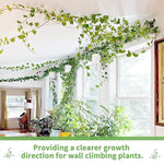 20Pcs Wall Fixture Clips for Plant Climbing