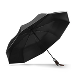 Premium Windproof Travel Umbrella