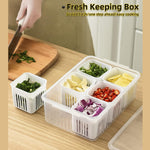 Compartment  Fridge Storage Box